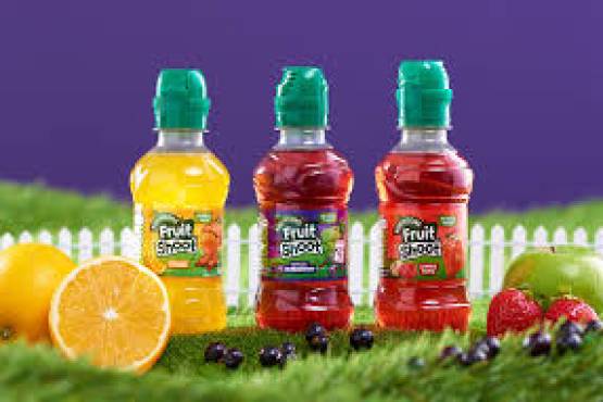 FRUIT SHOOT 275ml 